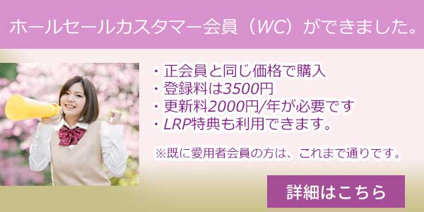 ホールセールについて